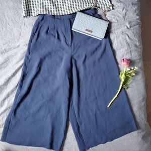 Aritzia Babaton Lazarus Culottes Pants (Navy blue) Size 0